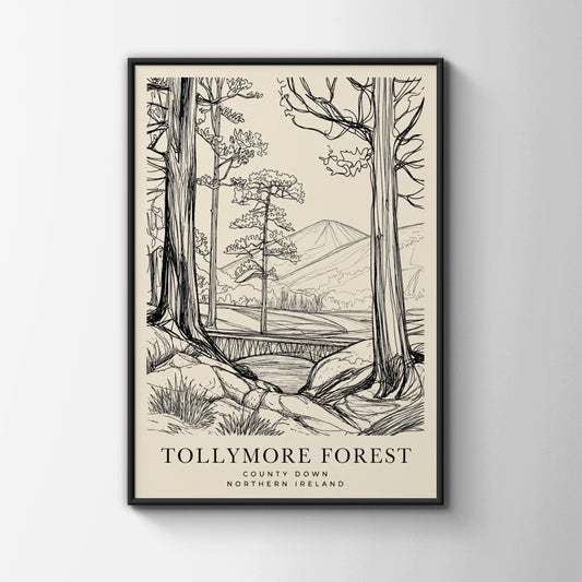 Tollymore Forest Poster, County Down Northern Ireland Wall Art, Line Drawing Print