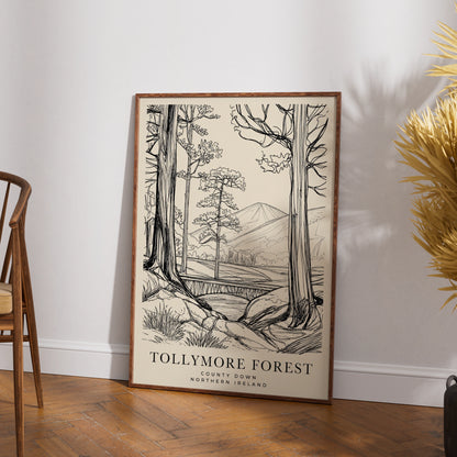 Tollymore Forest Poster, County Down Northern Ireland Wall Art, Line Drawing Print
